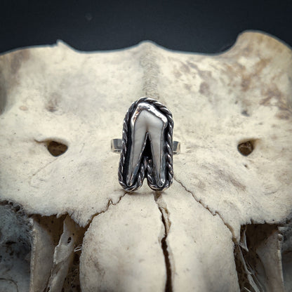 Primal - Ring i Sterlingsilver med Vildsvinstand