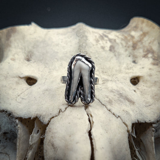 Primal - Ring i Sterlingsilver med Vildsvinstand