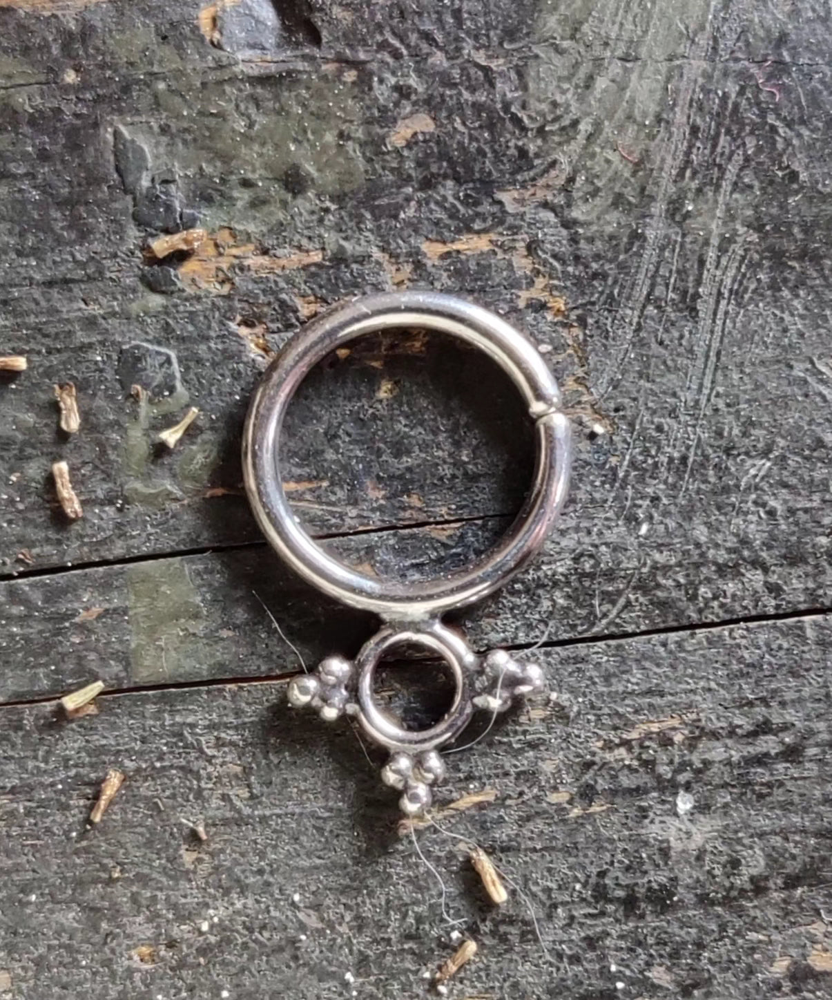 Septum - Septumsmycke i Sterlingsilver