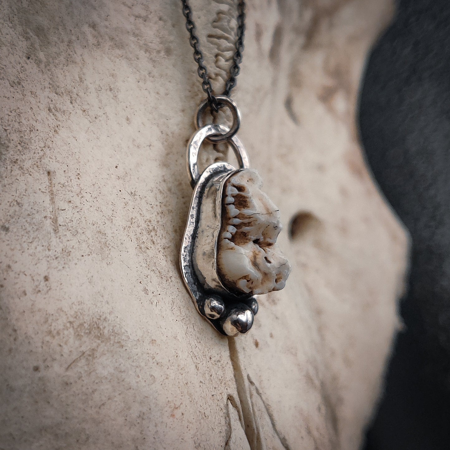 Primal - Halsband i Sterlingsilver med Vildsvinstand