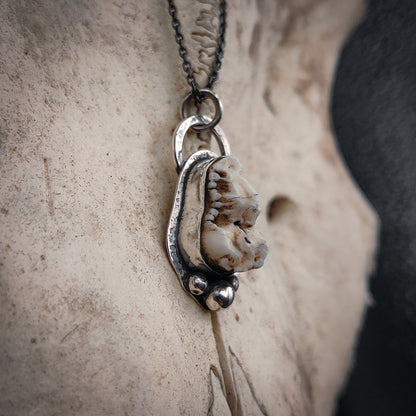 Primal - Halsband i Sterlingsilver med Vildsvinstand