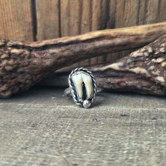 Primal - Ring i Sterlingsilver med Vildsvinstand
