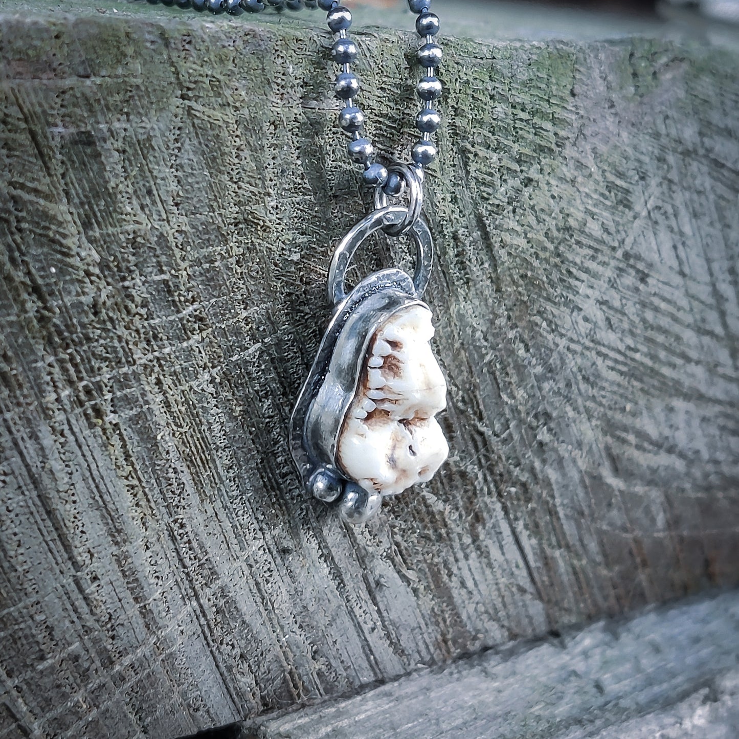 Primal - Halsband i Sterlingsilver med Vildsvinstand