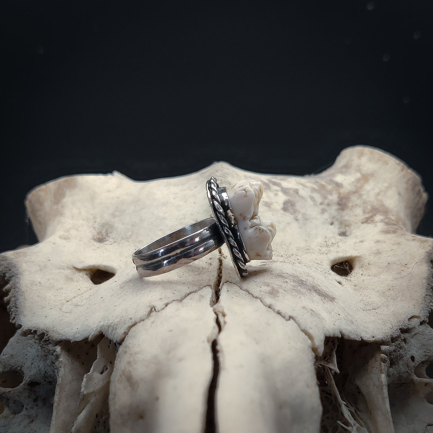 Primal - Ring i Sterlingsilver med Vildsvinstand