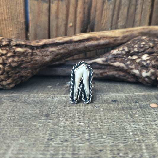 Primal - Ring i Sterlingsilver med Vildsvinstand