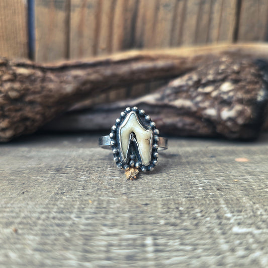 Primal - Ring i Sterlingsilver med Rävtand