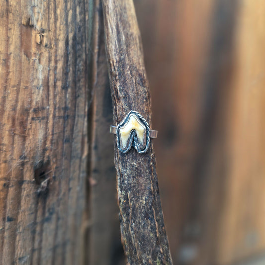 Primal - Ring i Sterlingsilver med Rävtand