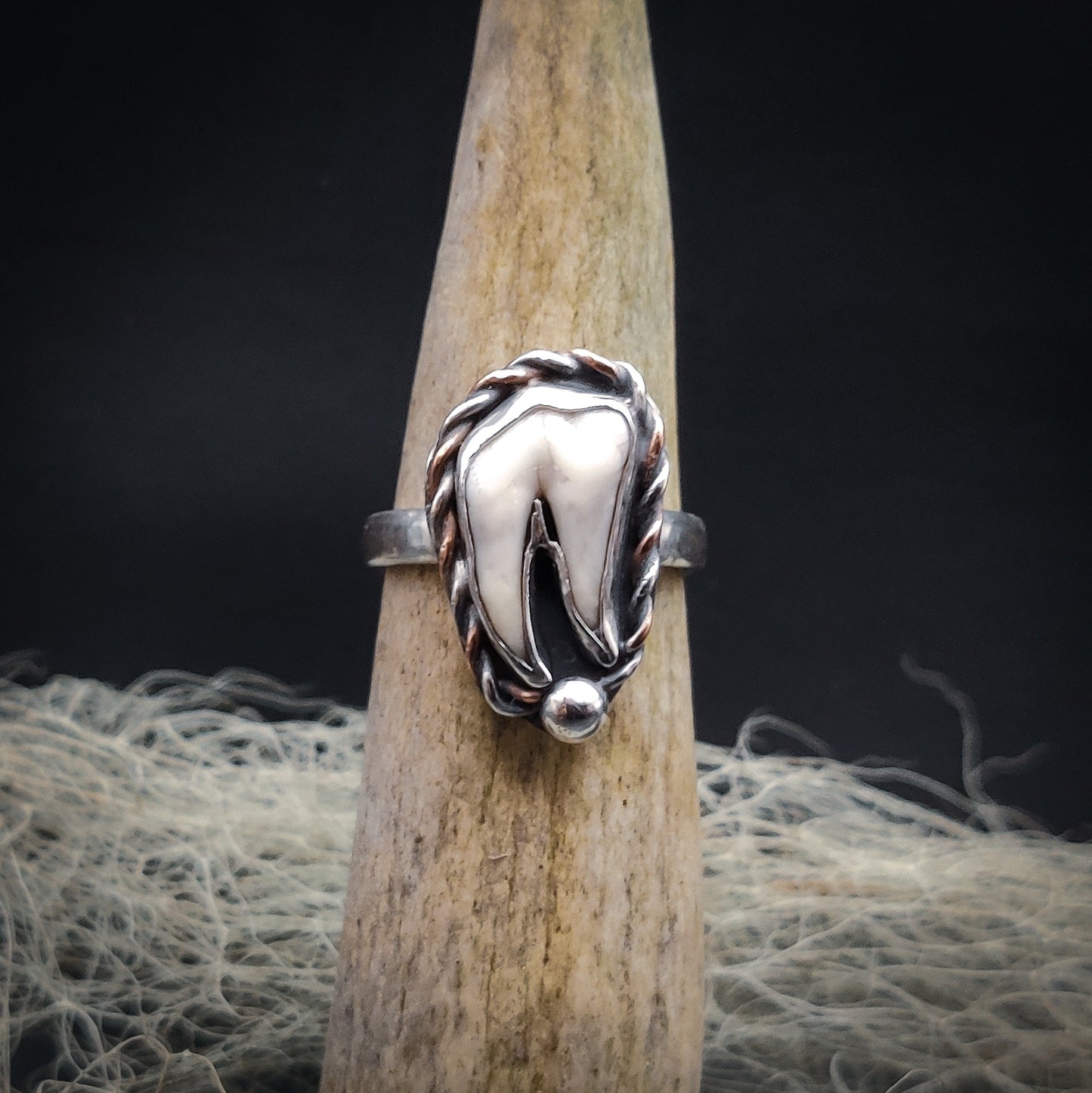 Primal - Ring i Sterlingsilver med Vildsvinstand