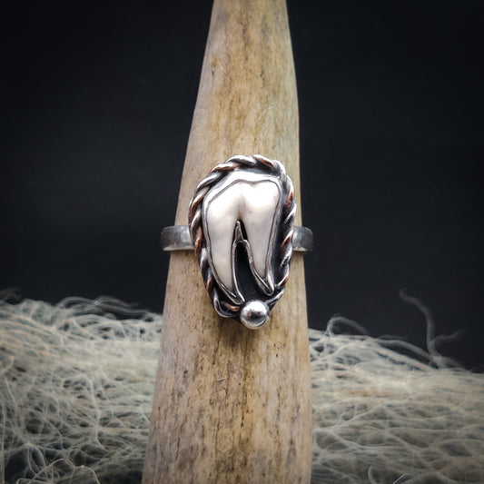 Primal - Ring i Sterlingsilver med Vildsvinstand