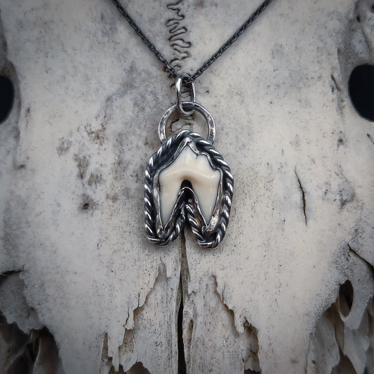 Primal-Halsband i sterlingsilver med Rävtand